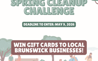 Spring Cleanup Challenge