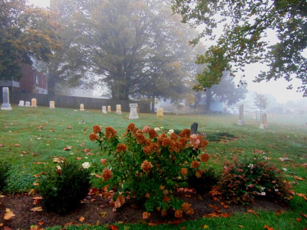 flowers and headstones in a cemetary